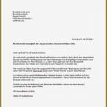 Offiziell Brief Muster