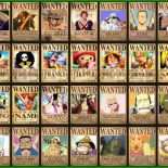 One Piece Steckbrief Vorlage