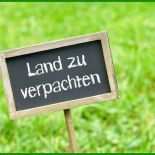 Pachtvertrag Muster Landwirtschaft Kostenlos 4 Pachtvertrag Muster Landwirtschaft Kostenlos