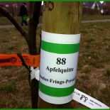 Pachtvertrag Obstwiese Muster