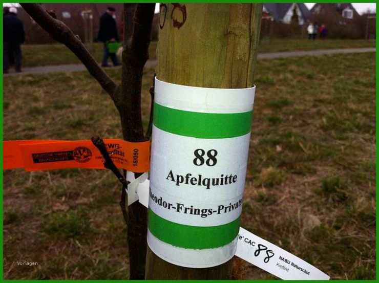Pachtvertrag Obstwiese Muster