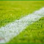 Pachtvertrag Sportplatz Muster