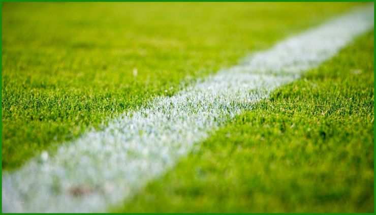Pachtvertrag Sportplatz Muster