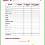 Partnerinterview Steckbrief Vorlage