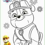 Paw Patrol Einladung Basteln Vorlage