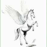 Pegasus Basteln Vorlage