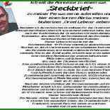 Person Steckbrief Vorlage
