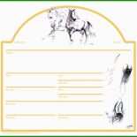 Pferde Steckbrief Vorlage