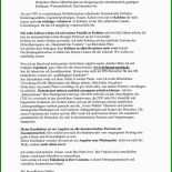 Praktikum Tagesbericht Muster