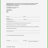 Privater Kaufvertrag Muster