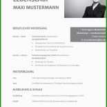 Professioneller Brief Vorlage