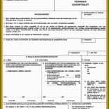 Proforma Rechnung Vorlage Tnt