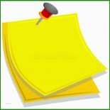 Protokoll Biologie Muster