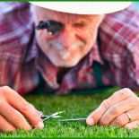 Protokoll Teamsitzung Muster