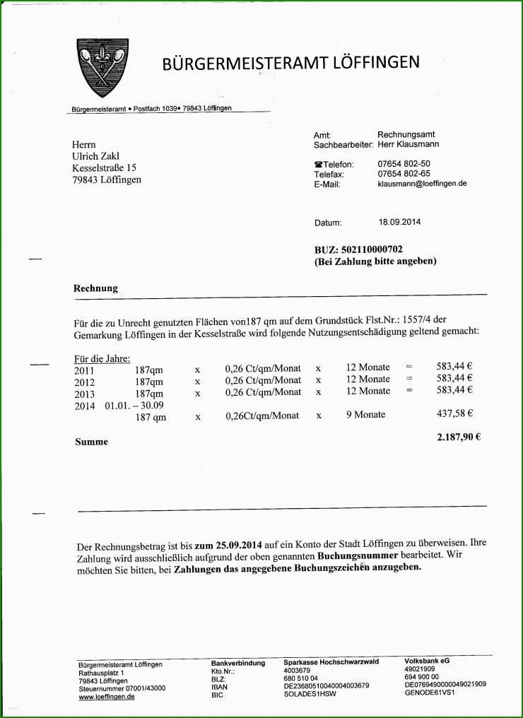 Rechnung Bar Erhalten Muster