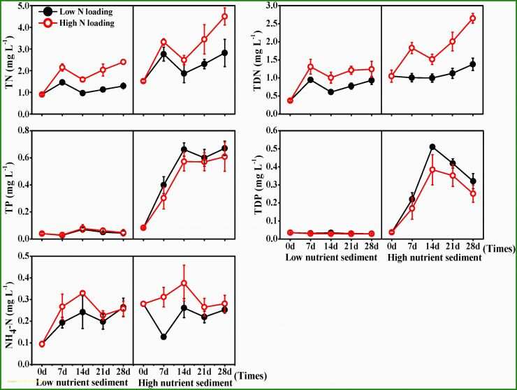 Rechnungsvorlage Muster Word