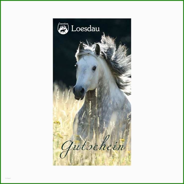 Reiten Gutschein Vorlage
