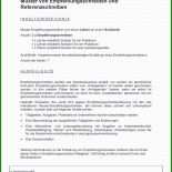 Schaden Brief Muster