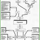 Schellong Test Protokoll Vorlage