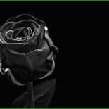 Schlussformel Kondolenzschreiben