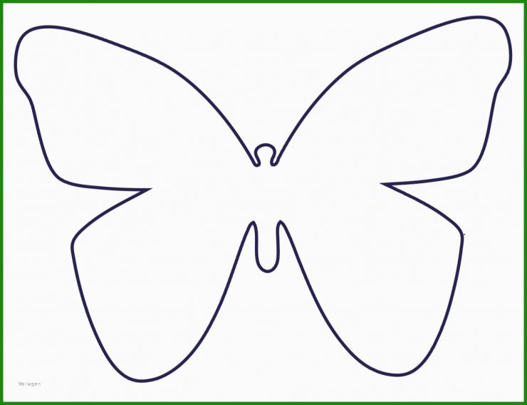 Schmetterling Basteln Aus Papier Vorlage