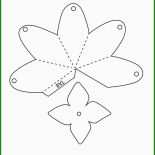 Schriftrolle Basteln Vorlage