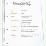 Schüleraustausch Steckbrief Vorlage