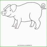 Schwein Basteln Vorlagen