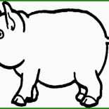 Schwein Vorlage Zum Basteln