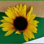 Sonnenblume Vorlage Zum Basteln