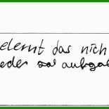 Spendenaufruf Brief Vorlage