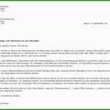 Sponsoring Brief Muster