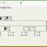 Stammbaum Baum Vorlage