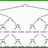 Stammbaum formular Vorlage