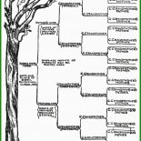 Stammbaum Grafik Vorlage 7 Stammbaum Grafik Vorlage