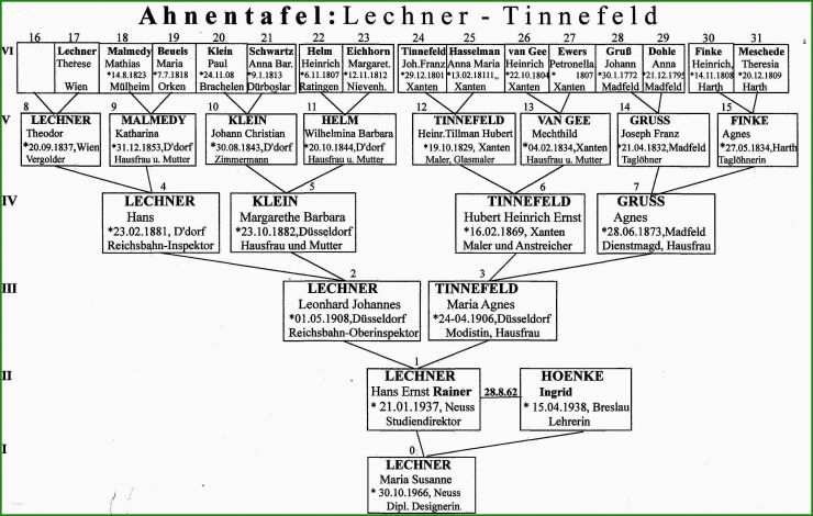 Stammbaum Kostenlos Muster