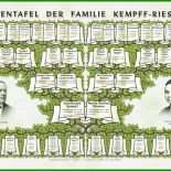 Stammbaum Leer Vorlage