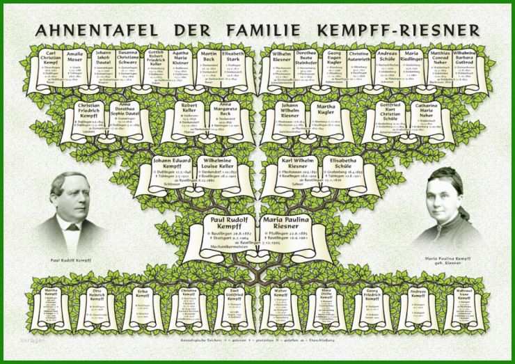 Stammbaum Leer Vorlage