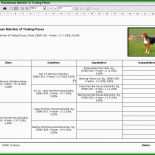 Stammbaum Selbst Erstellen Vorlage