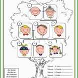 Stammbaum Spanisch Vorlage