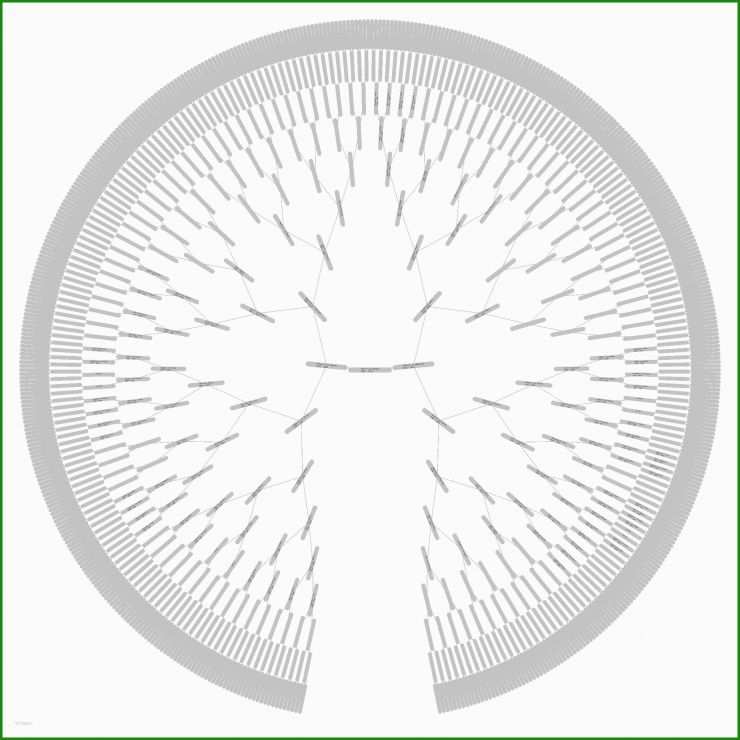 Stammbaum Vorlage 10 Generationen