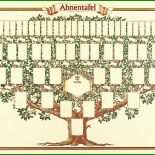 Stammbaum Vorlage 7 Generationen 4 Stammbaum Vorlage 7 Generationen