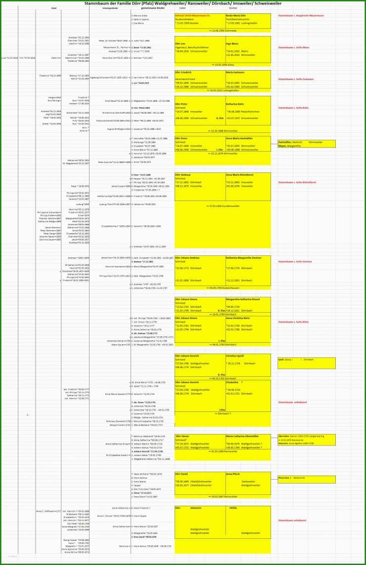 Stammbaum Vorlage In Excel