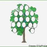 Stammbaum Vorlage Mit Bild