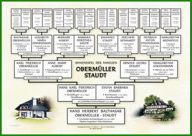 Stammbaum Vorlage Zum Ausfüllen Kostenlos