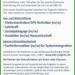 Steckbrief Anerkennungsjahr Muster