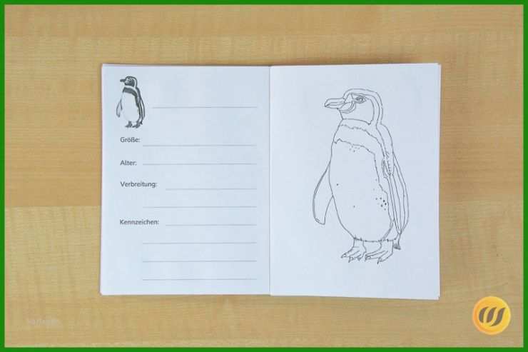 Steckbrief Autor Vorlage