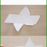 Steckbrief Baum Vorlage 3 Steckbrief Baum Vorlage