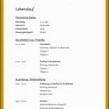 Steckbrief Bewerbung Vorlage 11 Steckbrief Bewerbung Vorlage
