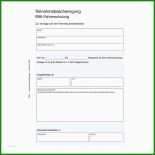 Steckbrief Fsj Kindergarten Muster